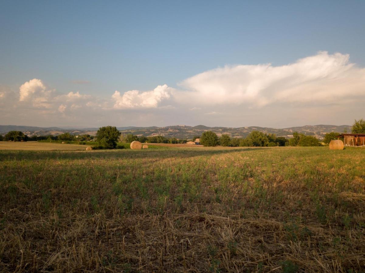 Agriturismo Consalvi Valentina Marsciano Buitenkant foto